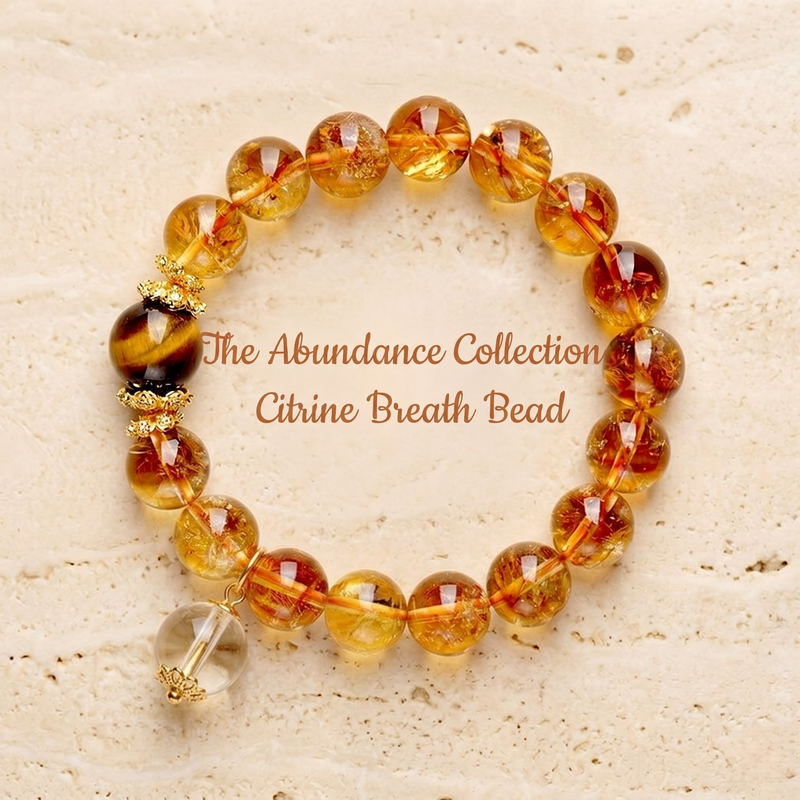 The Abundance Collection